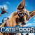 FTN - Cats And Dogs