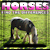 FTD - Horses